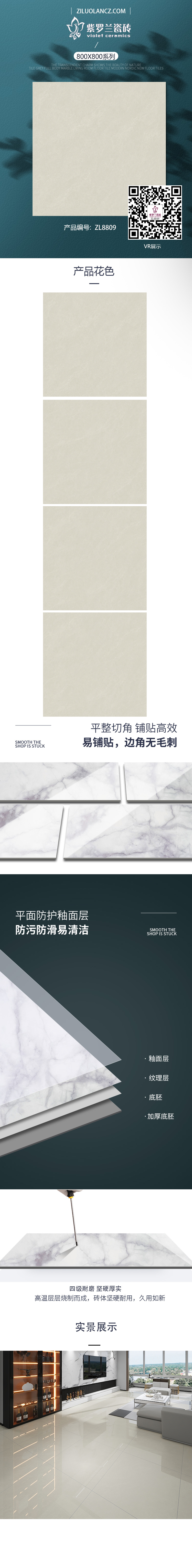ZL8809.jpg