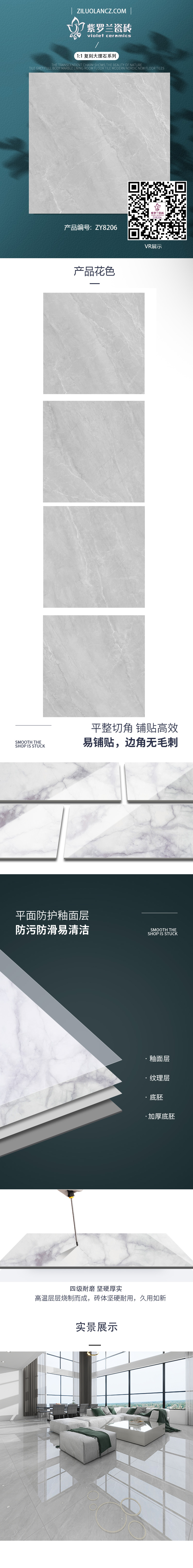 ZY8206.jpg
