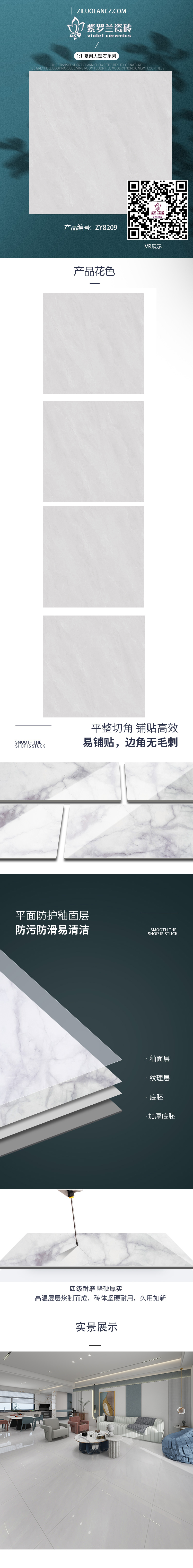 ZY8209.jpg